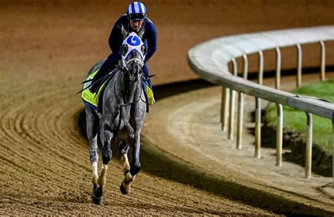 Kentucky Derby 2021 guide: Odds, picks, long shots .